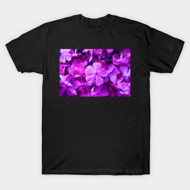 Purple Flower T-Shirt by Graz-Photos